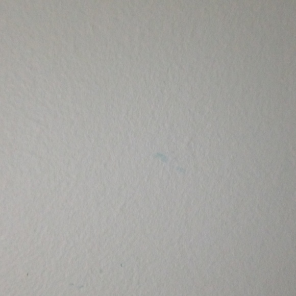 Meet your Posher, Shak - Picture 1 of 1